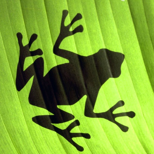 青蛙跳星球-不甘平凡的青蛙,在各个星球之间来往跳跃 icon