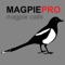 REAL Magpie Calls for Hunting -Magpie Sounds! + (ad free) BLUETOOTH COMPATIBLE