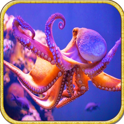 Underwater Octopus Sniper Shooting Pro - 2016 Wild Deep Sea Octopus Hunting Adventure iOS App