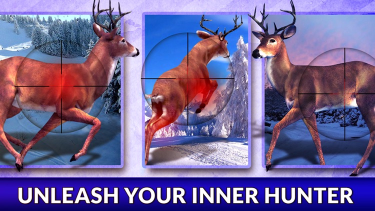 Real Deer Hunter Simulator 2016 - Target The Big Wild Buck Hunter Challenge screenshot-3