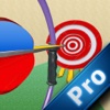 Target In Sight PRO - Archery Tournament