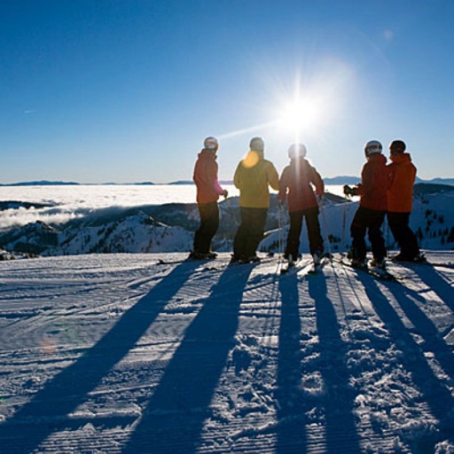 Alpine Ski Travel Guide:Tips and Tutorial