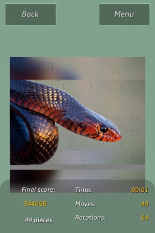 Snakes Amazing Puzzle screenshot 3