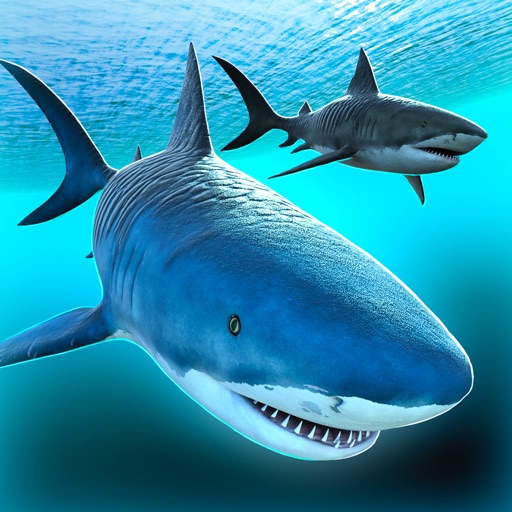 Shark Wars - Hungry fish simulator & World of evolution sharktivity Icon