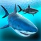 Shark Wars - Hungry fish simulator & World of evolution sharktivity