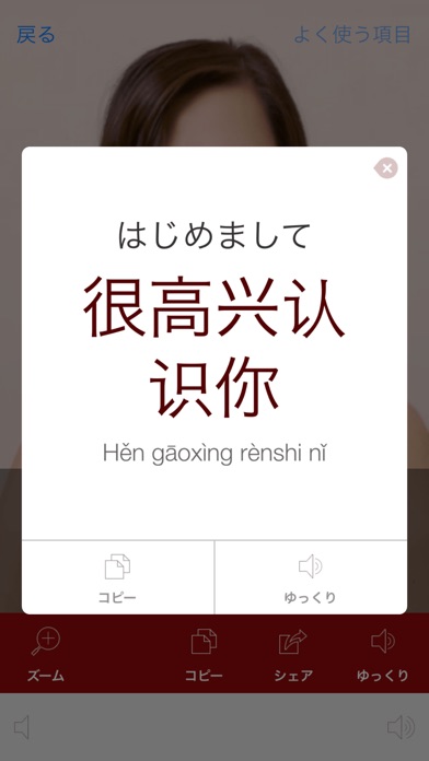 中国語ビデオ辞書　-　翻訳機能・学習機能・... screenshot1