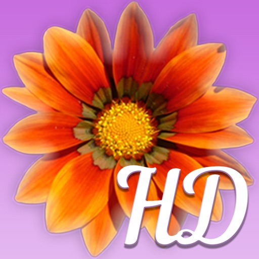 Flowers Gallery iOS App