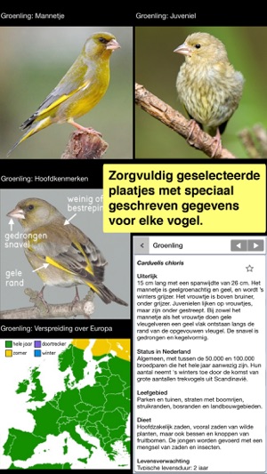 Vogels in Nederland: Een Zakgids van iSpiny(圖2)-速報App