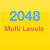 2048 Multi Levels