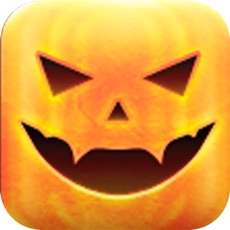 Activities of Nutmeg Fun