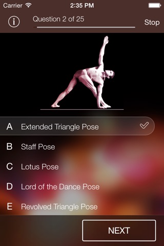 Yoga-Poses screenshot 3