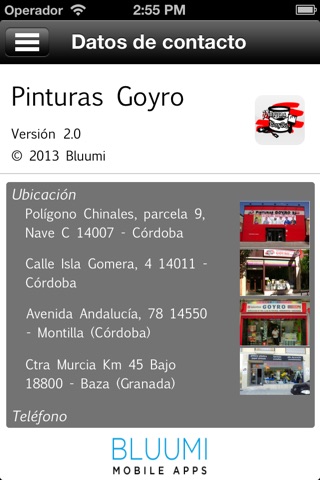 Pinturas Goyro screenshot 4