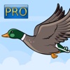 Flying Duckling PRO