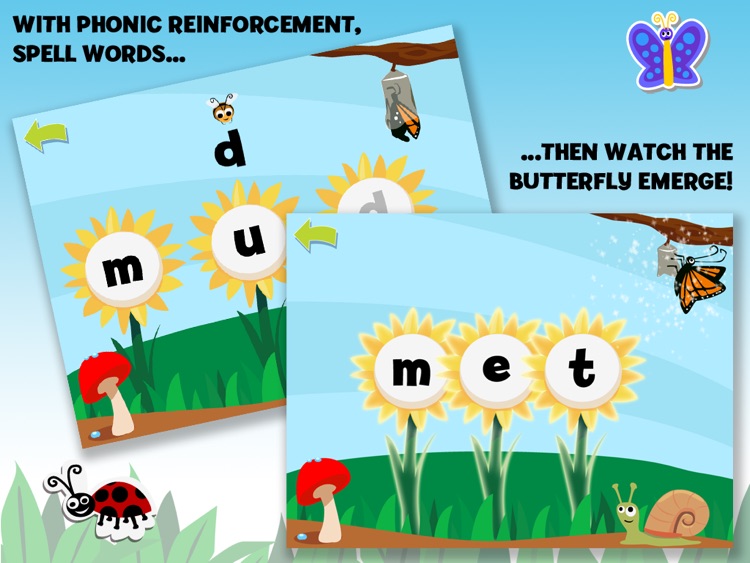Brainy Bugs Preschool Games