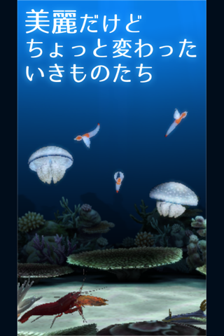 ３Ｄコレクション 海のいきもの 無脊椎動物 screenshot 2