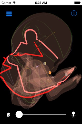 Acupuncture Meridians from Thalamic Neuron Theory screenshot 4