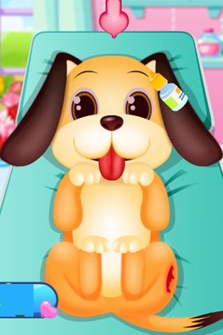 Pet Doctor - Vet Care screenshot 2