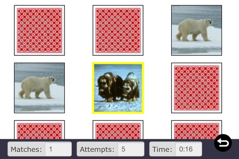 Winter Animals Videos, Games, Photos, Books & Activities for Kids by Playrific screenshot 3