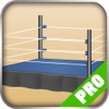 Game Pro - WWF No Mercy Version