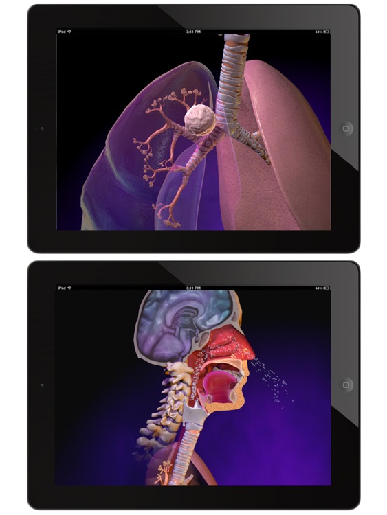 Animated Anatomy and Physiology for iPad