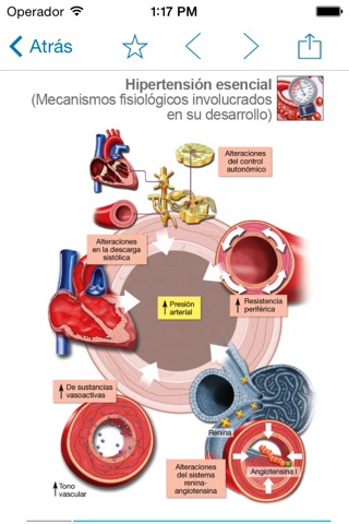 Miniatlas Hypertension screenshot 4