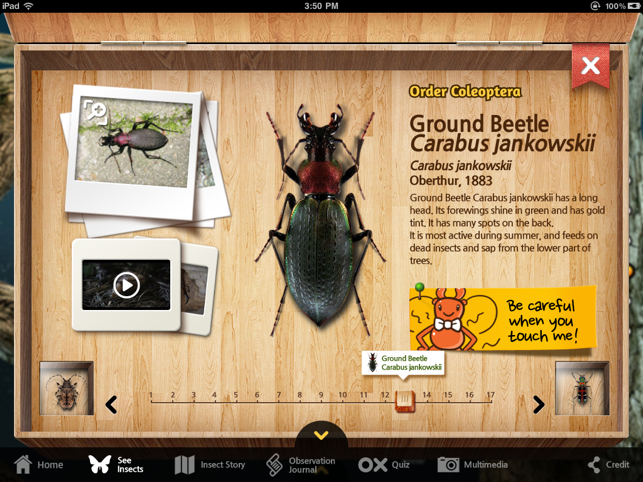 Meet the Insects: Forest Edition(圖3)-速報App