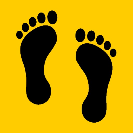 Pedometer icon