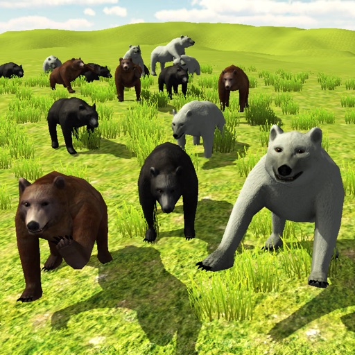 Bear Invasion