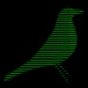 Ascii Bird Game