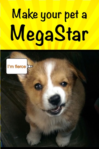 PetStars, the best social network for your pet photos screenshot 3
