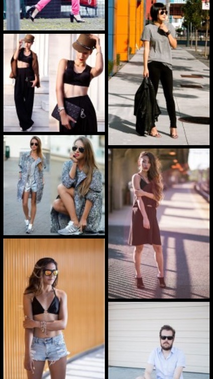 chicfeed+