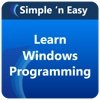 Learn Windows Programming by GoLearningBus