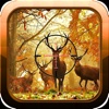 Buck Hunting 3D Pro