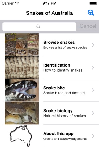 Snakes of Australia screenshot 4