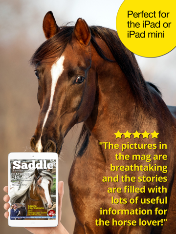 Скриншот из Saddle And Stirrups Magazine: Equestrian health, nutrition and horsemanship for horse and rider