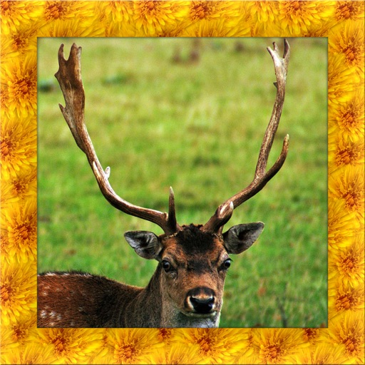 Wild Deer Simulator 3D icon