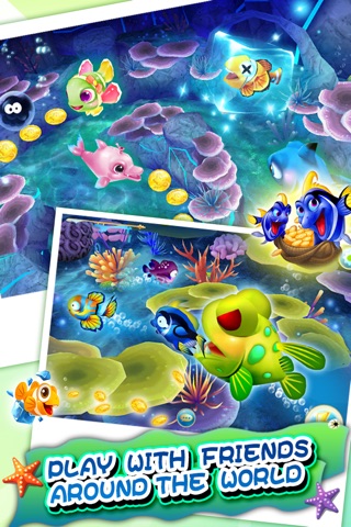 Fish Fiesta:2014 GO! screenshot 4