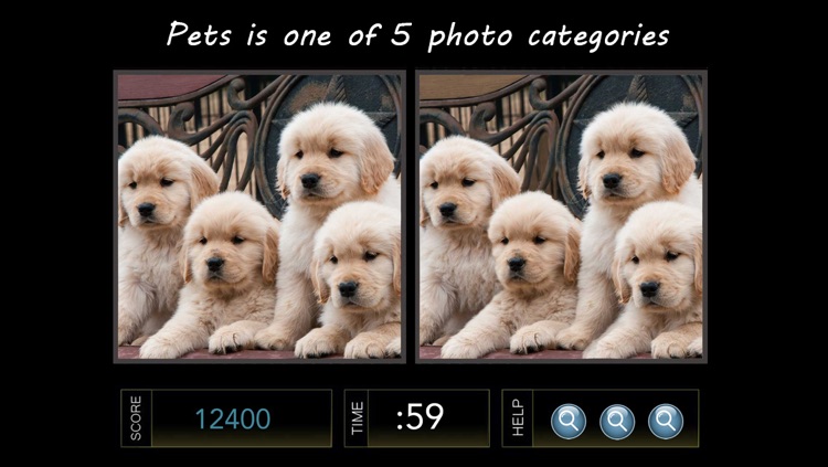 Spot the Difference Image Hunt Puzzle Game -Silver Edition