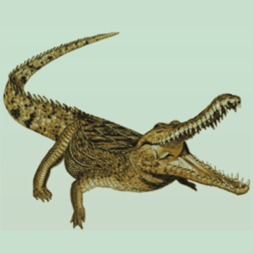 Crocodile Sounds icon