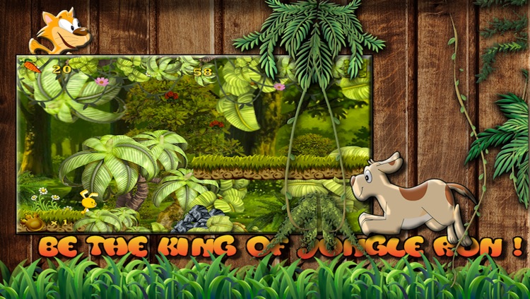 Cute Baby Animals Fun Run in Jungle