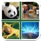 Puzzle & Guess Animal