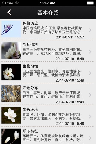 白玉兰 screenshot 2