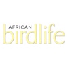 African Birdlife