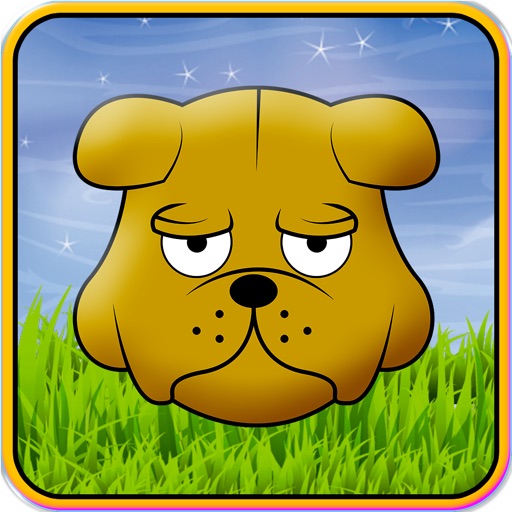 Talking Pet Paul The Puppy iOS App