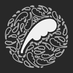 Pad  Quill Notes
