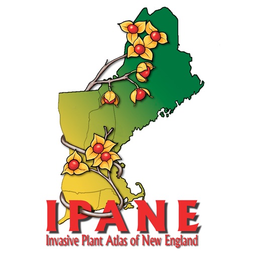 Invasive Plant Atlas of New England icon