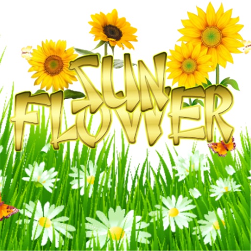 Sun Flower Free Icon