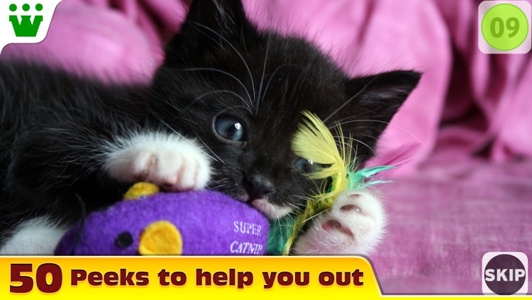 Did You See? screenshot-3