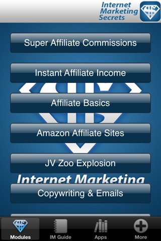 Internet Marketing Income FREE - Super Affiliate Millionaire Secrets screenshot 2