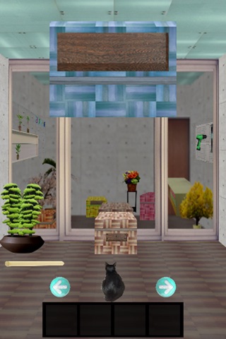 脱出ゲーム　Escape With Cats screenshot 3